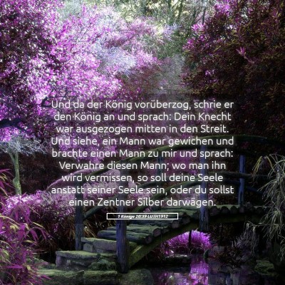 Picture 05 - 1 Könige 20:39 LUTH1912 - Und da der König vorüberzog, schrie er den - Bible Verse Picture