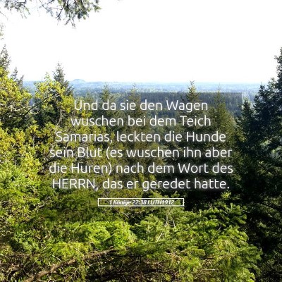 Picture 05 - 1 Könige 22:38 LUTH1912 - Und da sie den Wagen wuschen bei dem Teich - Bible Verse Picture