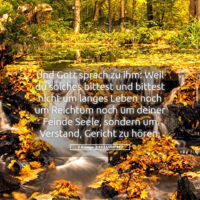 Picture 05 - 1 Könige 3:11 LUTH1912 - Und Gott sprach zu ihm: Weil du solches bittest - Bible Verse Picture