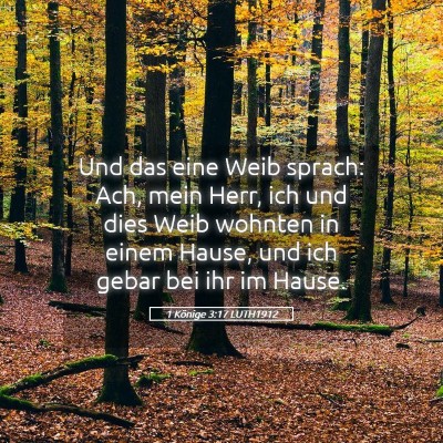 Picture 05 - 1 Könige 3:17 LUTH1912 - Und das eine Weib sprach: Ach, mein Herr, ich und - Bible Verse Picture