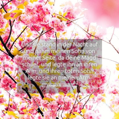 Picture 05 - 1 Könige 3:20 LUTH1912 - Und sie stand in der Nacht auf und nahm meinen - Bible Verse Picture