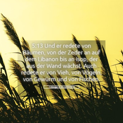 Picture 05 - 1 Könige 4:33 LUTH1912 - 5:13 Und er redete von Bäumen, von der Zeder an - Bible Verse Picture