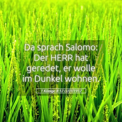 Picture 05 - 1 Könige 8:12 LUTH1912 - Da sprach Salomo: Der HERR hat geredet, er wolle - Bible Verse Picture