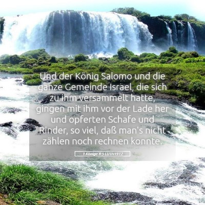 Picture 05 - 1 Könige 8:5 LUTH1912 - Und der König Salomo und die ganze Gemeinde - Bible Verse Picture