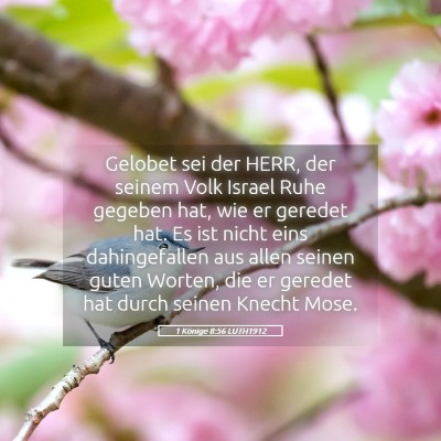Picture 05 - 1 Könige 8:56 LUTH1912 - Gelobet sei der HERR, der seinem Volk Israel Ruhe - Bible Verse Picture