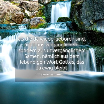 Picture 05 - 1 Petrus 1:23 LUTH1912 - als die da wiedergeboren sind, nicht aus - Bible Verse Picture
