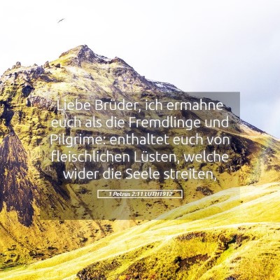 Picture 05 - 1 Petrus 2:11 LUTH1912 - Liebe Brüder, ich ermahne euch als die - Bible Verse Picture