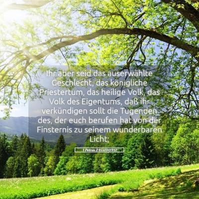 Picture 05 - 1 Petrus 2:9 LUTH1912 - Ihr aber seid das auserwählte Geschlecht, das - Bible Verse Picture