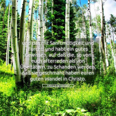 Picture 05 - 1 Petrus 3:16 LUTH1912 - und das mit Sanftmütigkeit und Furcht; und habt - Bible Verse Picture