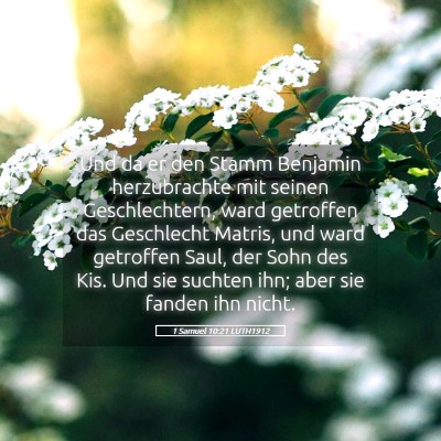 Picture 05 - 1 Samuel 10:21 LUTH1912 - Und da er den Stamm Benjamin herzubrachte mit - Bible Verse Picture