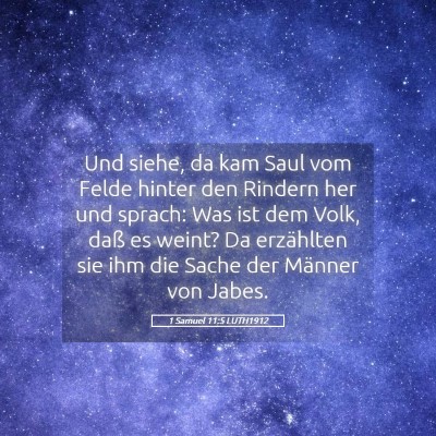 Picture 05 - 1 Samuel 11:5 LUTH1912 - Und siehe, da kam Saul vom Felde hinter den - Bible Verse Picture