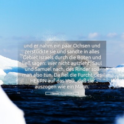 Picture 05 - 1 Samuel 11:7 LUTH1912 - und er nahm ein paar Ochsen und zerstückte sie - Bible Verse Picture