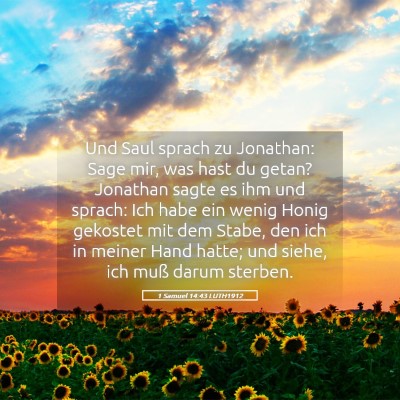 Picture 05 - 1 Samuel 14:43 LUTH1912 - Und Saul sprach zu Jonathan: Sage mir, was hast - Bible Verse Picture