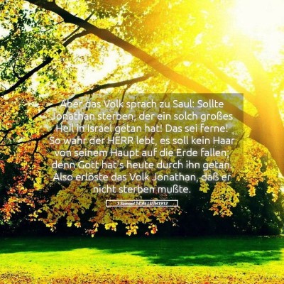 Picture 05 - 1 Samuel 14:45 LUTH1912 - Aber das Volk sprach zu Saul: Sollte Jonathan - Bible Verse Picture