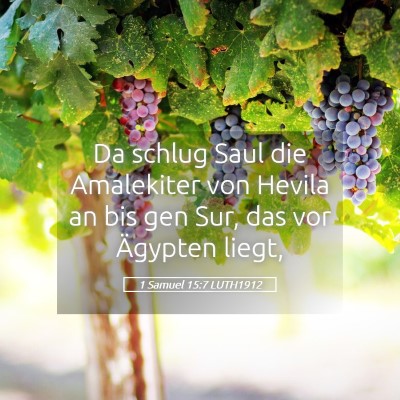 Picture 05 - 1 Samuel 15:7 LUTH1912 - Da schlug Saul die Amalekiter von Hevila an bis - Bible Verse Picture