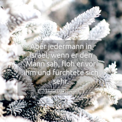 Picture 05 - 1 Samuel 17:24 LUTH1912 - Aber jedermann in Israel, wenn er den Mann sah, - Bible Verse Picture