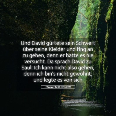 Picture 05 - 1 Samuel 17:39 LUTH1912 - Und David gürtete sein Schwert über seine - Bible Verse Picture