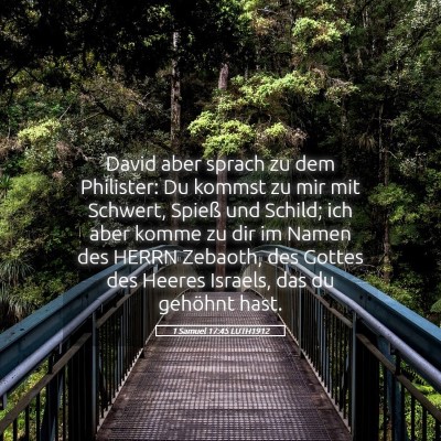 Picture 05 - 1 Samuel 17:45 LUTH1912 - David aber sprach zu dem Philister: Du kommst zu - Bible Verse Picture
