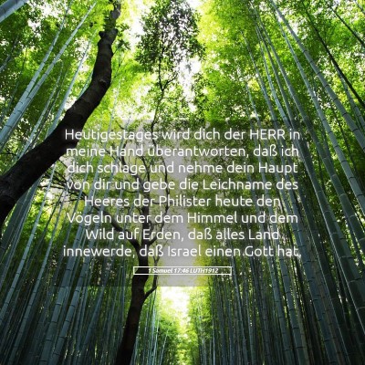 Picture 05 - 1 Samuel 17:46 LUTH1912 - Heutigestages wird dich der HERR in meine Hand - Bible Verse Picture