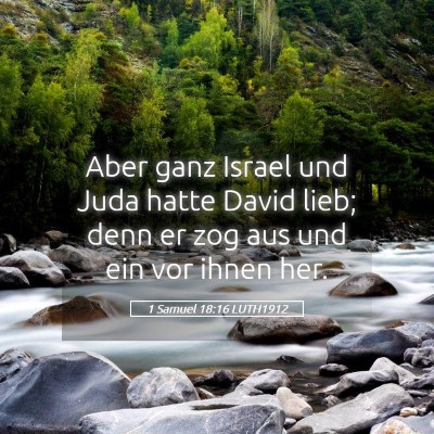 Picture 05 - 1 Samuel 18:16 LUTH1912 - Aber ganz Israel und Juda hatte David lieb; denn - Bible Verse Picture