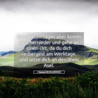 Picture 05 - 1 Samuel 20:19 LUTH1912 - Des dritten Tages aber komm bald hernieder und - Bible Verse Picture