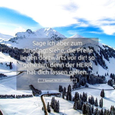 Picture 05 - 1 Samuel 20:22 LUTH1912 - Sage ich aber zum Jüngling: Siehe, die Pfeile - Bible Verse Picture