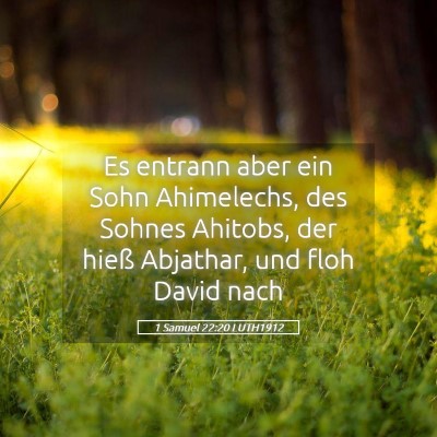 Picture 05 - 1 Samuel 22:20 LUTH1912 - Es entrann aber ein Sohn Ahimelechs, des Sohnes - Bible Verse Picture