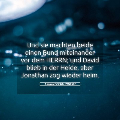Picture 05 - 1 Samuel 23:18 LUTH1912 - Und sie machten beide einen Bund miteinander vor - Bible Verse Picture