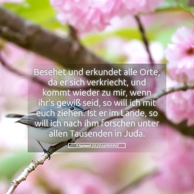 Picture 05 - 1 Samuel 23:23 LUTH1912 - Besehet und erkundet alle Orte, da er sich - Bible Verse Picture