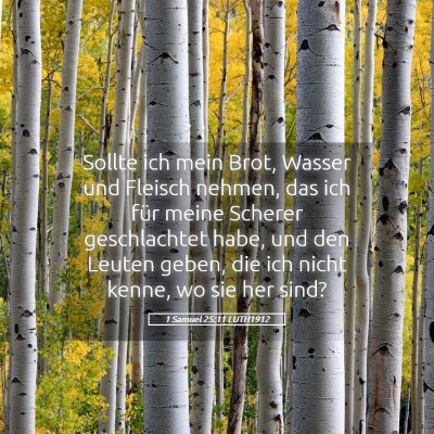 Picture 05 - 1 Samuel 25:11 LUTH1912 - Sollte ich mein Brot, Wasser und Fleisch nehmen, - Bible Verse Picture
