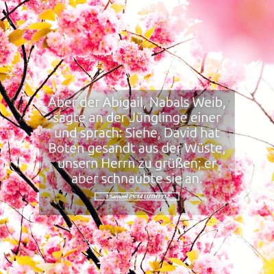 Picture 05 - 1 Samuel 25:14 LUTH1912 - Aber der Abigail, Nabals Weib, sagte an der - Bible Verse Picture