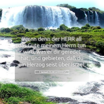 Picture 05 - 1 Samuel 25:30 LUTH1912 - Wenn denn der HERR all das Gute meinem Herrn tun - Bible Verse Picture