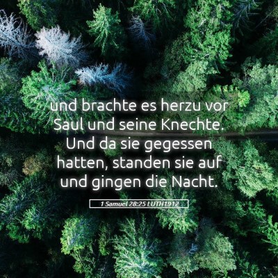 Picture 05 - 1 Samuel 28:25 LUTH1912 - und brachte es herzu vor Saul und seine Knechte. - Bible Verse Picture