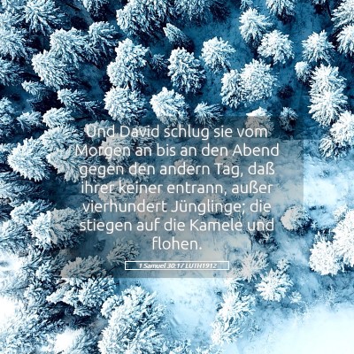 Picture 05 - 1 Samuel 30:17 LUTH1912 - Und David schlug sie vom Morgen an bis an den - Bible Verse Picture