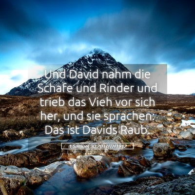 Picture 05 - 1 Samuel 30:20 LUTH1912 - Und David nahm die Schafe und Rinder und trieb - Bible Verse Picture