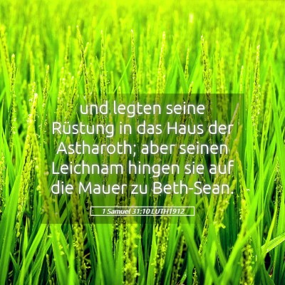 Picture 05 - 1 Samuel 31:10 LUTH1912 - und legten seine Rüstung in das Haus der - Bible Verse Picture