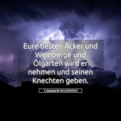 Picture 05 - 1 Samuel 8:14 LUTH1912 - Eure besten Äcker und Weinberge und Ölgärten - Bible Verse Picture