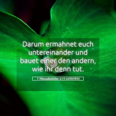 Picture 05 - 1 Thessalonicher 5:11 LUTH1912 - Darum ermahnet euch untereinander und bauet einer - Bible Verse Picture