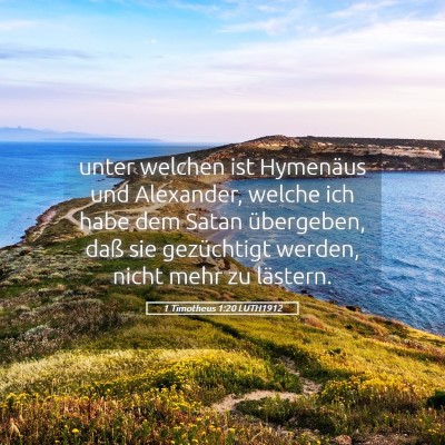 Picture 05 - 1 Timotheus 1:20 LUTH1912 - unter welchen ist Hymenäus und Alexander, welche - Bible Verse Picture