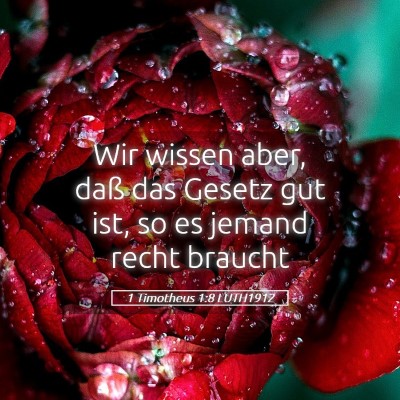 Picture 05 - 1 Timotheus 1:8 LUTH1912 - Wir wissen aber, daß das Gesetz gut ist, so es - Bible Verse Picture