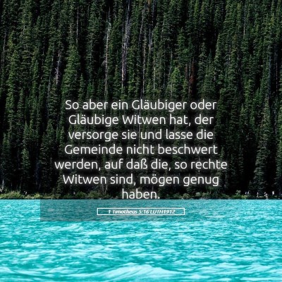 Picture 05 - 1 Timotheus 5:16 LUTH1912 - So aber ein Gläubiger oder Gläubige Witwen hat, - Bible Verse Picture