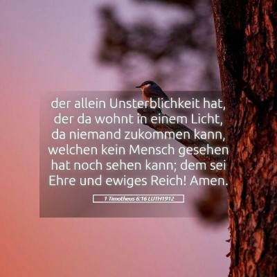 Picture 05 - 1 Timotheus 6:16 LUTH1912 - der allein Unsterblichkeit hat, der da wohnt in - Bible Verse Picture