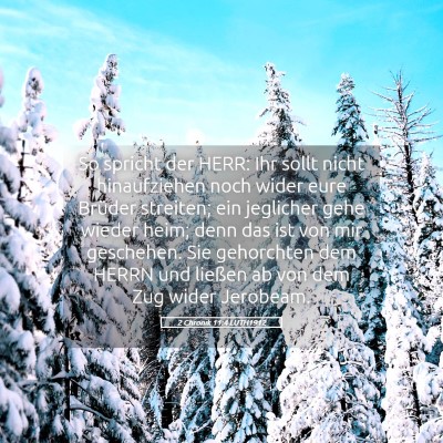 Picture 05 - 2 Chronik 11:4 LUTH1912 - So spricht der HERR: Ihr sollt nicht hinaufziehen - Bible Verse Picture