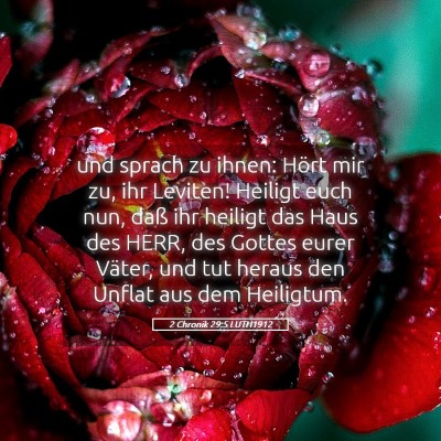 Picture 05 - 2 Chronik 29:5 LUTH1912 - und sprach zu ihnen: Hört mir zu, ihr Leviten! - Bible Verse Picture
