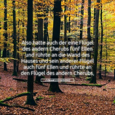 Picture 05 - 2 Chronik 3:12 LUTH1912 - Also hatte auch der eine Flügel des andern - Bible Verse Picture