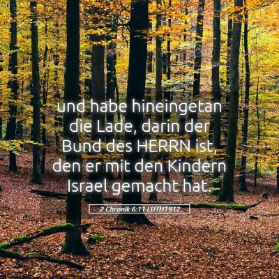 Picture 05 - 2 Chronik 6:11 LUTH1912 - und habe hineingetan die Lade, darin der Bund des - Bible Verse Picture
