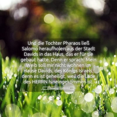 Picture 05 - 2 Chronik 8:11 LUTH1912 - Und die Tochter Pharaos ließ Salomo heraufholen - Bible Verse Picture
