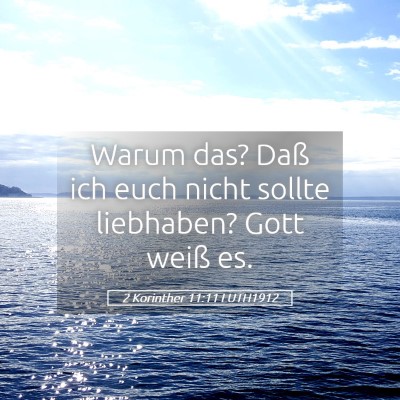 Picture 05 - 2 Korinther 11:11 LUTH1912 - Warum das? Daß ich euch nicht sollte liebhaben? - Bible Verse Picture