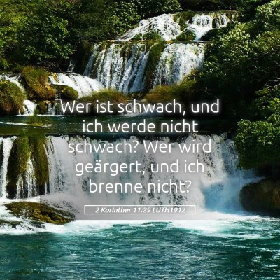 Picture 05 - 2 Korinther 11:29 LUTH1912 - Wer ist schwach, und ich werde nicht schwach? Wer - Bible Verse Picture