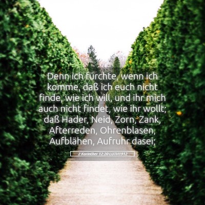 Picture 05 - 2 Korinther 12:20 LUTH1912 - Denn ich fürchte, wenn ich komme, daß ich euch - Bible Verse Picture